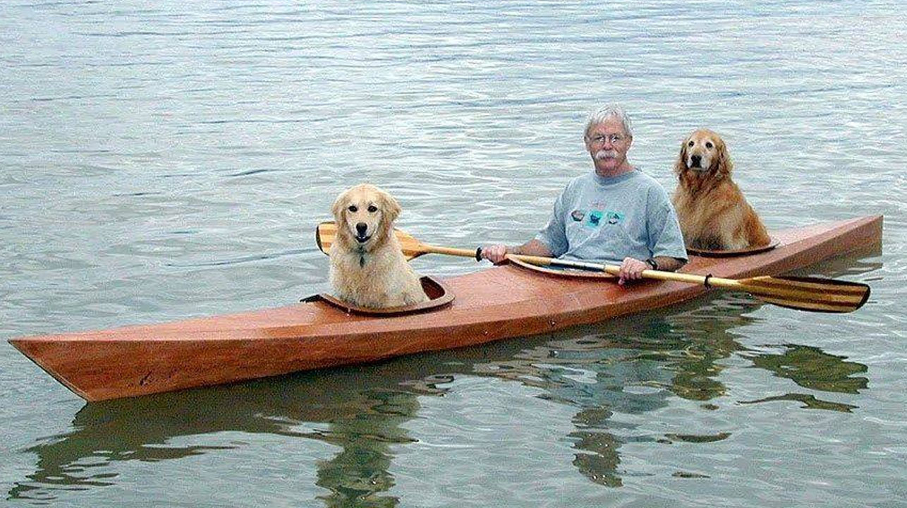 Homem constrói caiaque personalizado para poder passear na água com seus dois cães
