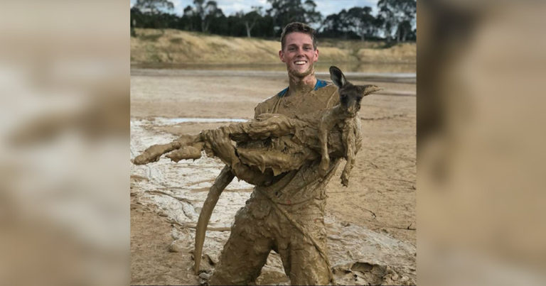 Adolescentes mergulham em um poço de lama para salvar um canguru assustado