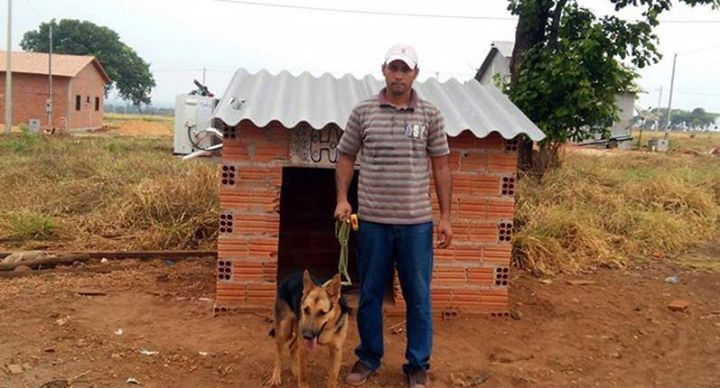 Homem instala ar condicionado exclusivo na casa de sua cadelinha para livrá-la do calor intenso