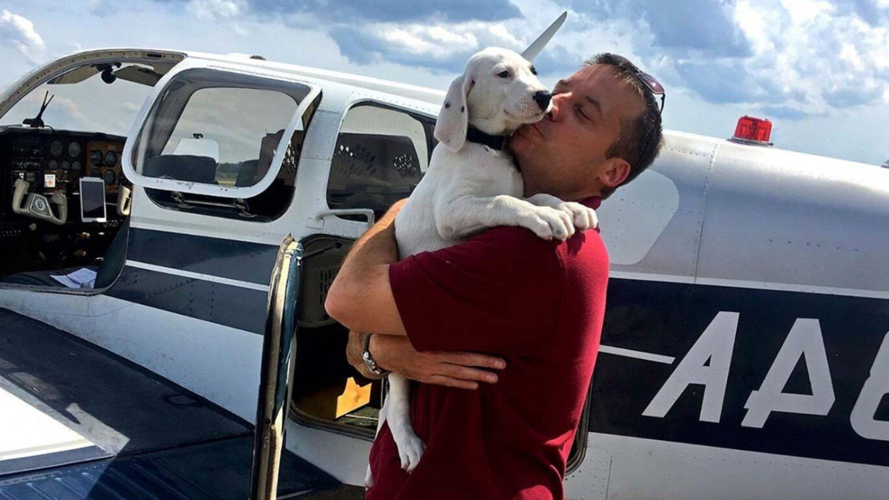 Homem compra avião para salvar milhares de animais de rua