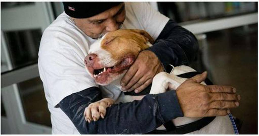 Cachorrinho abraça seu dono com alegria após ele cumprir a promessa de voltar ao abrigo para salvá-lo