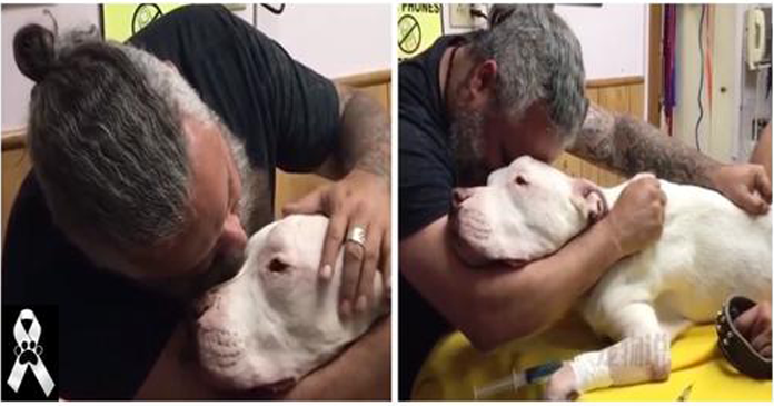 Homem ‘durão’ cai em lágrimas ao perceber que tem que se despedir de seu cachorro com quem viveu há 14 anos