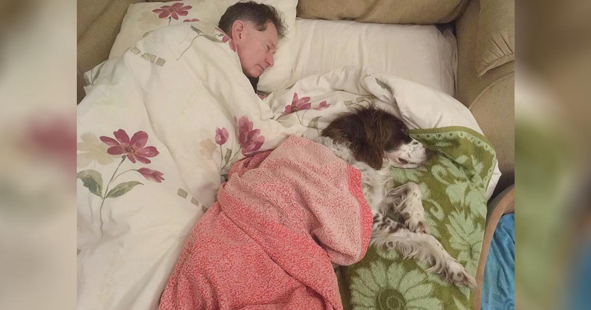 Família se reveza para dormir no sofá com seu cachorro idoso que não consegue mais subir escadas