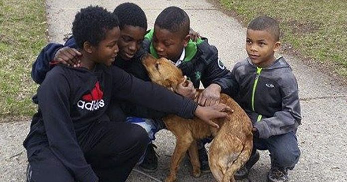 Quatro crianças heróicas resgatam cadelinha faminta amarrada com cordas elásticas