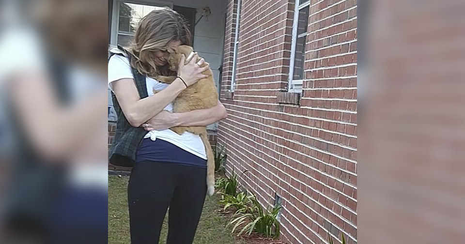 Depois de anos desaparecido, gatinho reencontra dona e pula nos braços dela