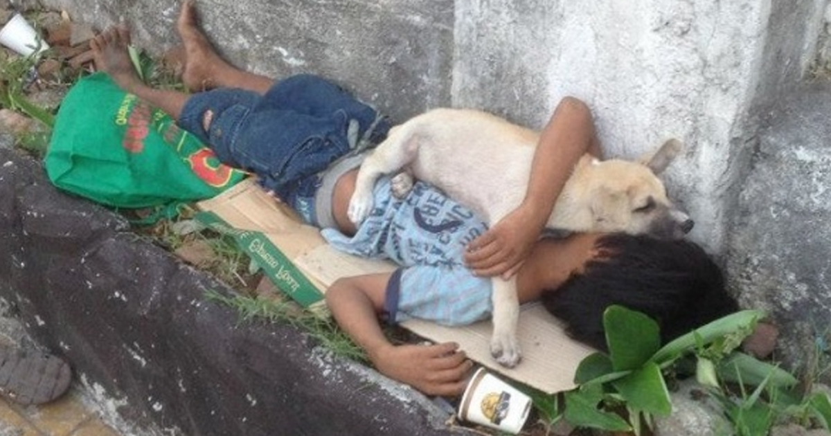Menino adota um cachorrinho para poder abraçá-lo e não se sentir sozinho enquanto mora na rua