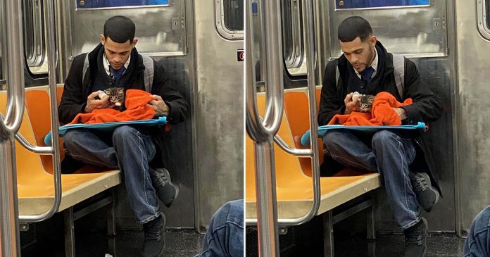 Homem é visto fazendo carinho em gatinho no metrô e recebe elogios