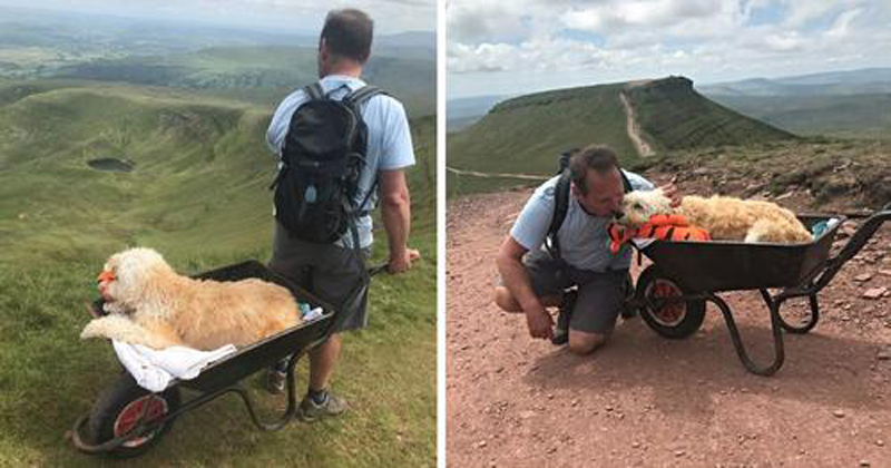 Homem leva seu cachorro até o topo da montanha para lhe dar o último adeus