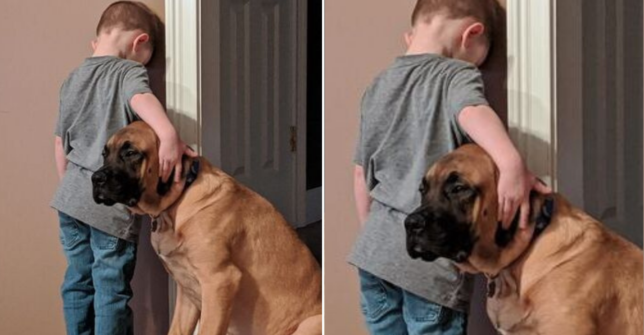 Cão leal faz companhia a um menino durante seu tempo de castigo para não deixá-lo sozinho