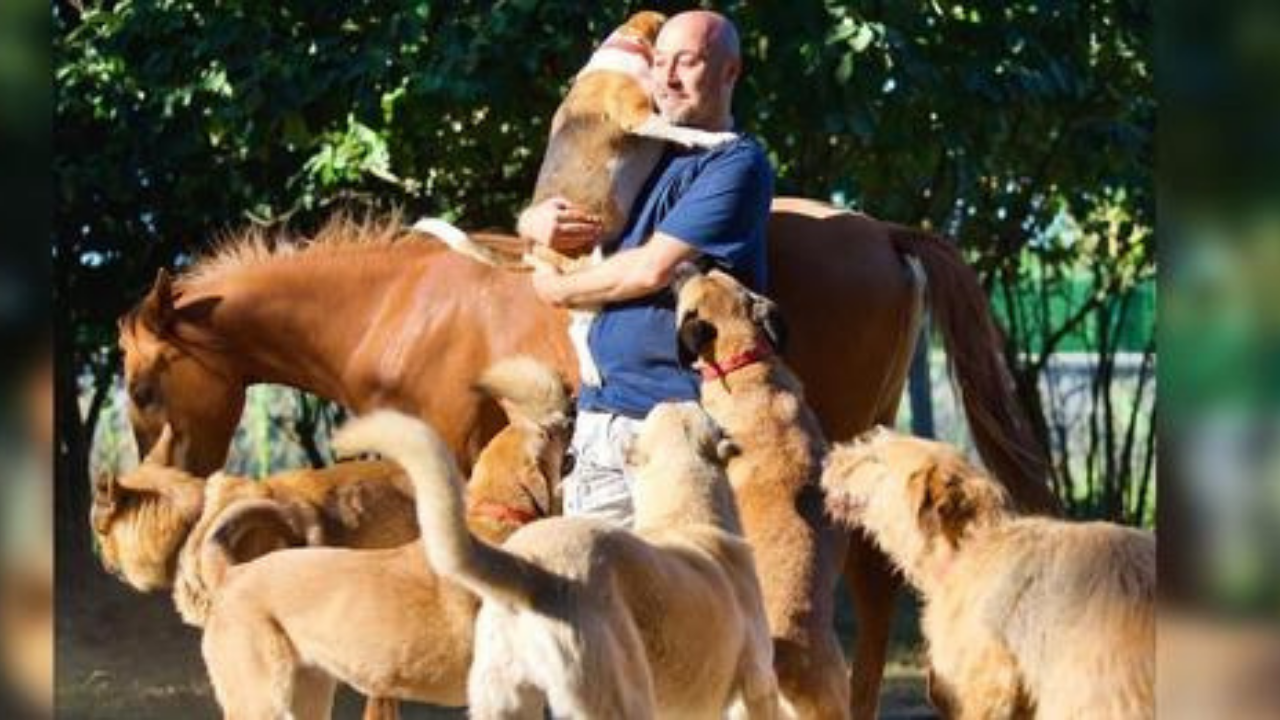 Homem transforma sua fazenda em um enorme santuário para animais resgatados