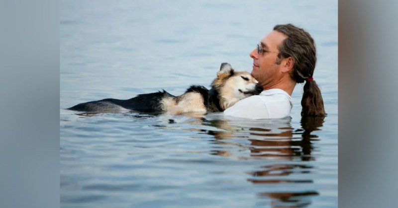 Dono leva cachorro idoso paralisado para o mar até ele adormecer em seus braços