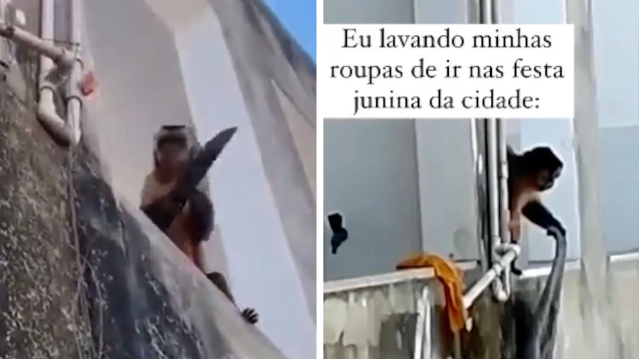 Macaco flagrado “amolando” faca no Piauí é visto horas depois batendo roupa em centro comercial
