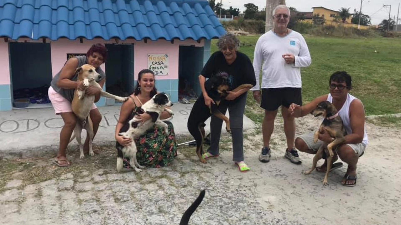 Vizinhança de bairro em Cabo Frio se reúne e criam dormitório para abrigar cães abandonados