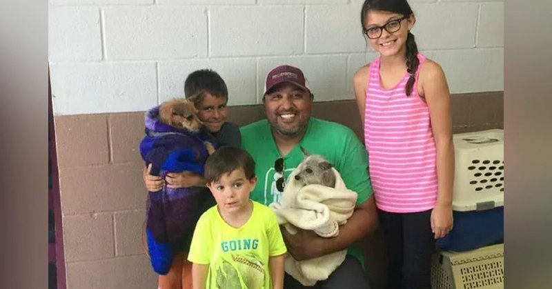 Após seis anos desaparecido, família encontra seu cachorrinho e também adota o seu amigo de rua que nunca o abandonou
