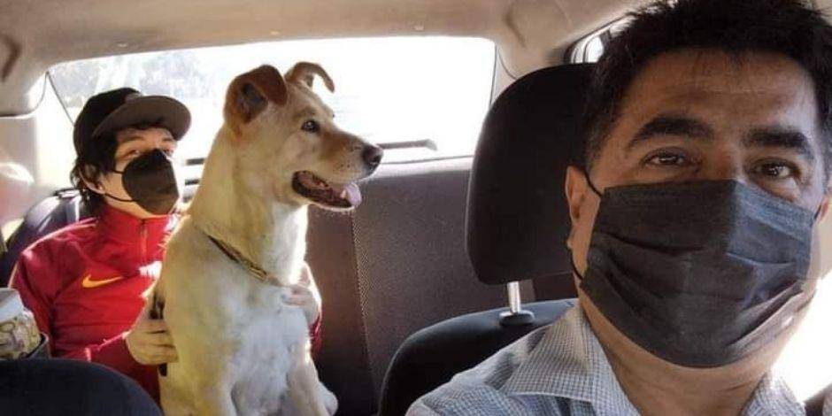 Taxista viraliza e é reconhecido por permitir que animais de estimação entrem em seu táxi