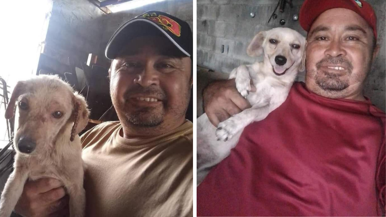 Homem resgata cachorro das ruas e devolve o seu sorriso