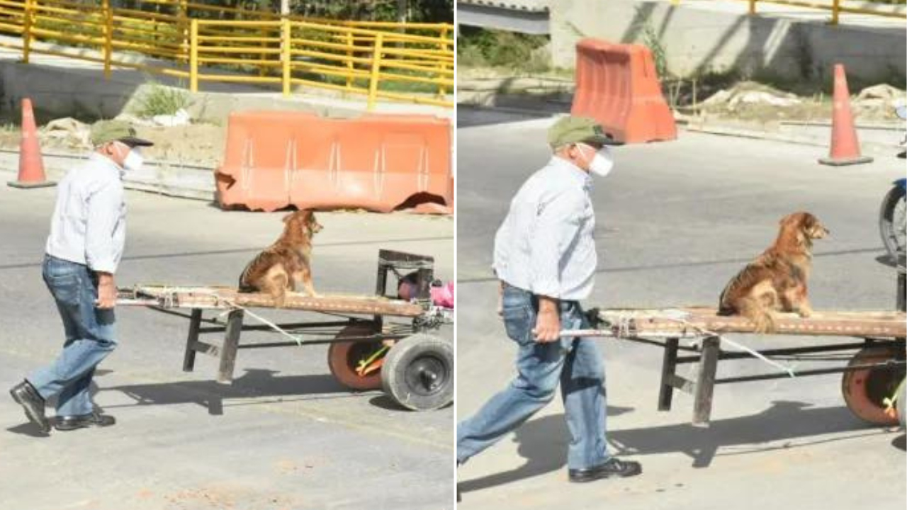 Idoso é visto levando seu cachorro em um carrinho até o trabalho para não deixá-lo sozinho