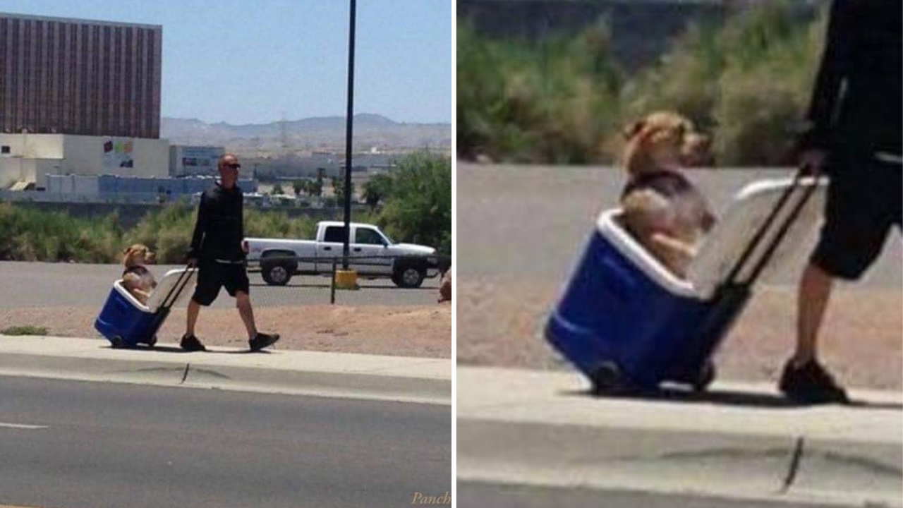 Jovem carrega seu cachorrinho para proteger suas patinhas do chão quente