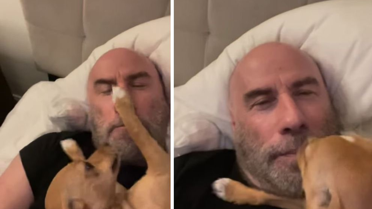 John Travolta acorda com os beijos de seu cachorrinho resgatado e apaixona a todos