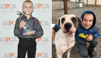 Menino de 7 anos ganha prêmio de Criança do Ano por resgatar mais de 1.300 cães