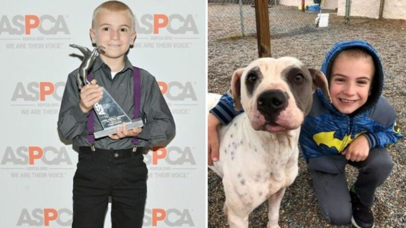 Menino de 7 anos ganha prêmio de Criança do Ano por resgatar mais de 1.300 cães